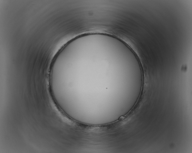 X0000110721093200906261450