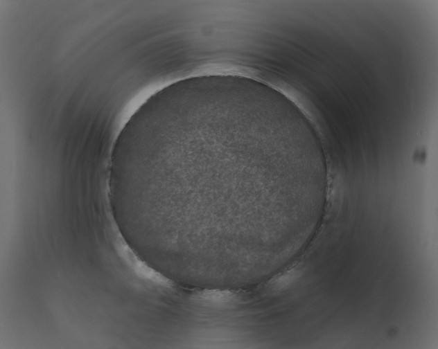 X0000110721094200906261450