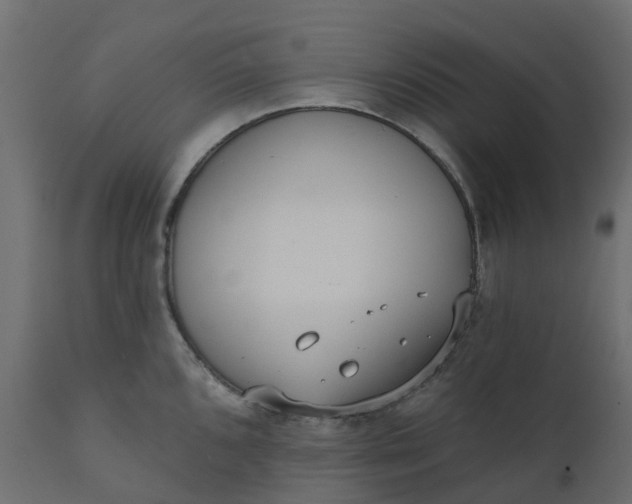 X0000110721096200906261450