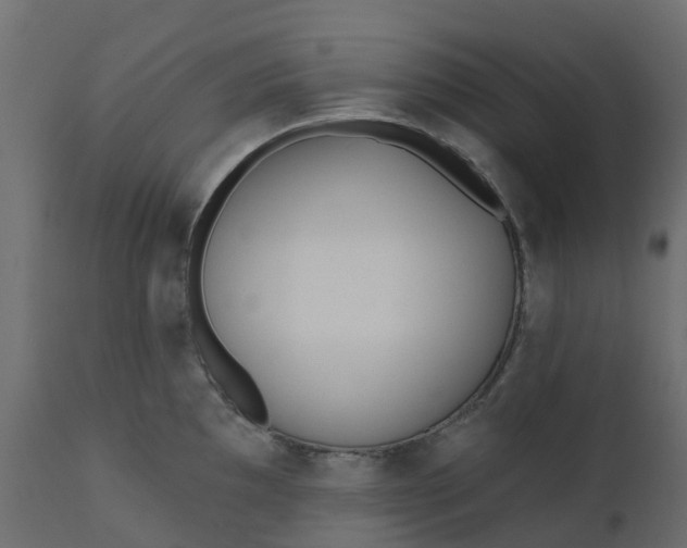 X0000110721097200906261450