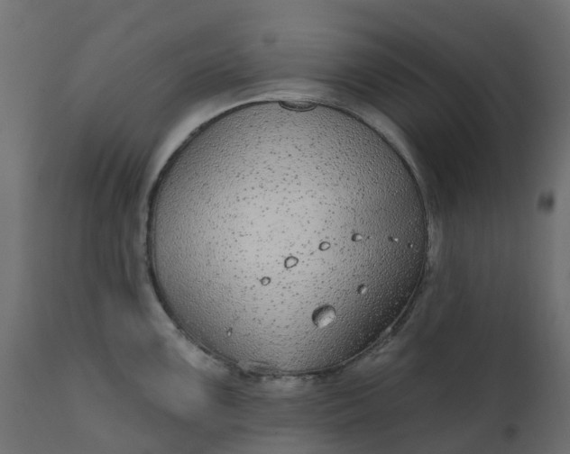 X0000110721099200906261450