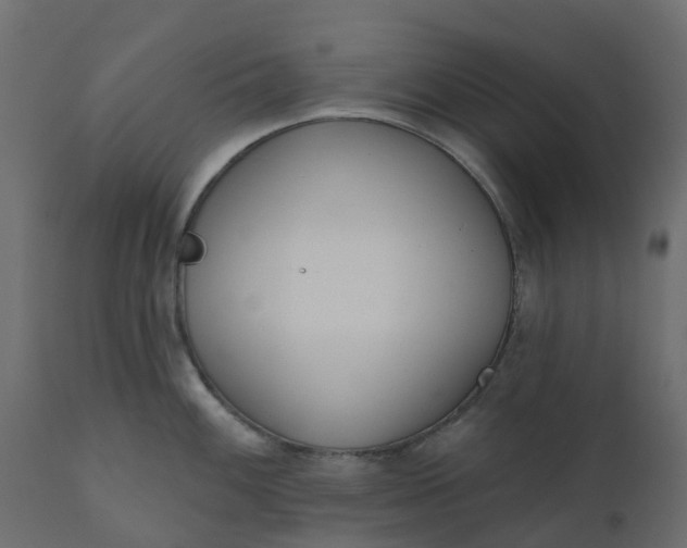 X0000110721100200906261450