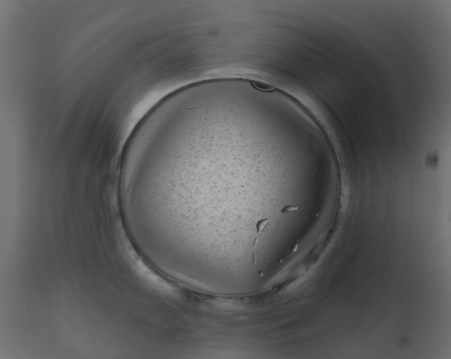 X0000110721102200906261450