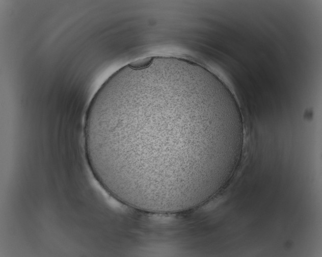 X0000110721103200906261450