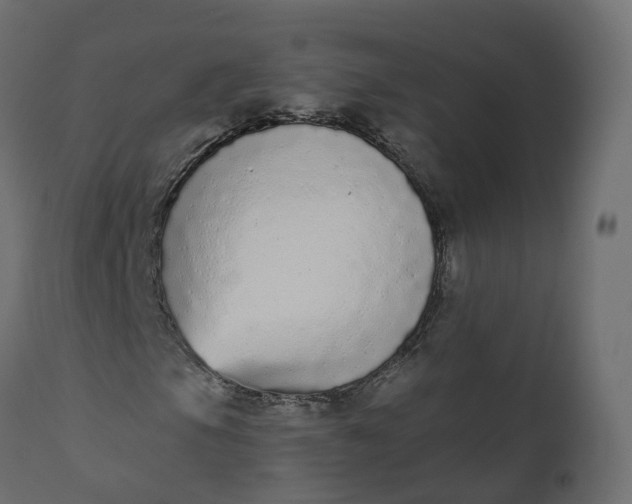 X0000110721105200906261449