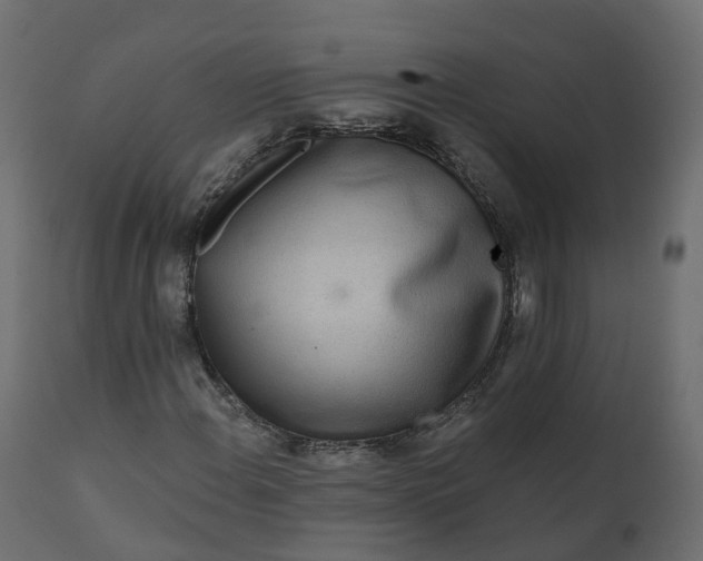 X0000110721108200906261449