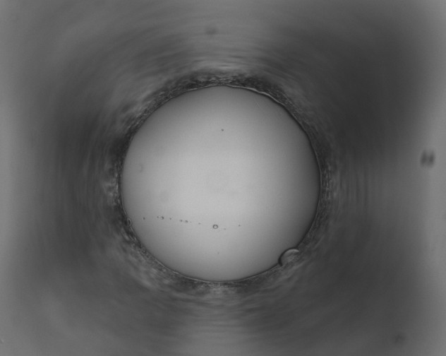 X0000110721109200906261449