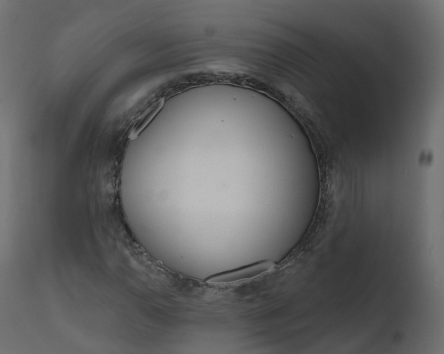 X0000110721110200906261449