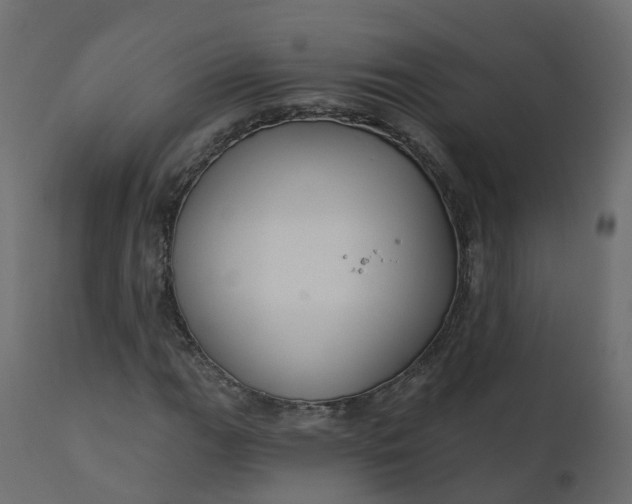 X0000110721111200906261449