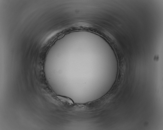 X0000110721112200906261449