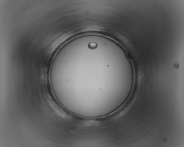 X0000110721113200906261449