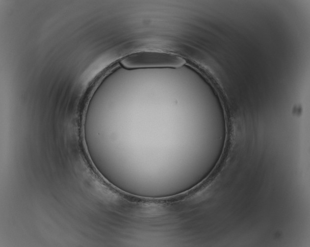 X0000110721114200906261449