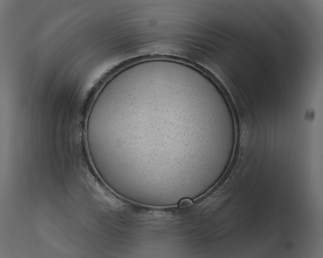 X0000110721115200906261449