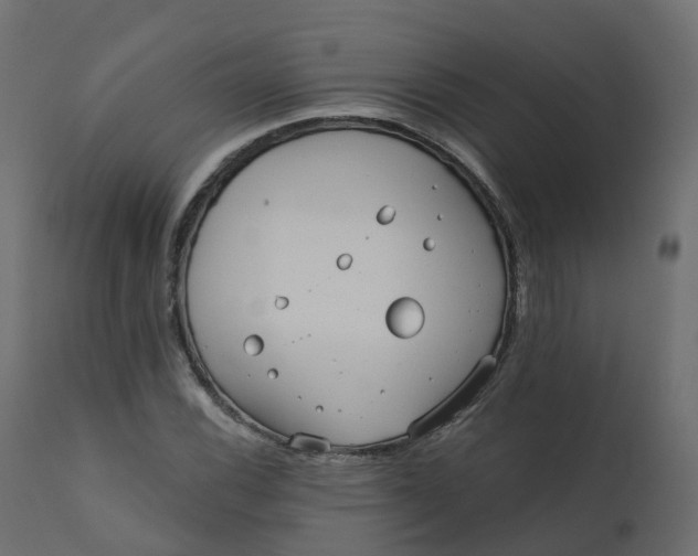 X0000110721116200906261449