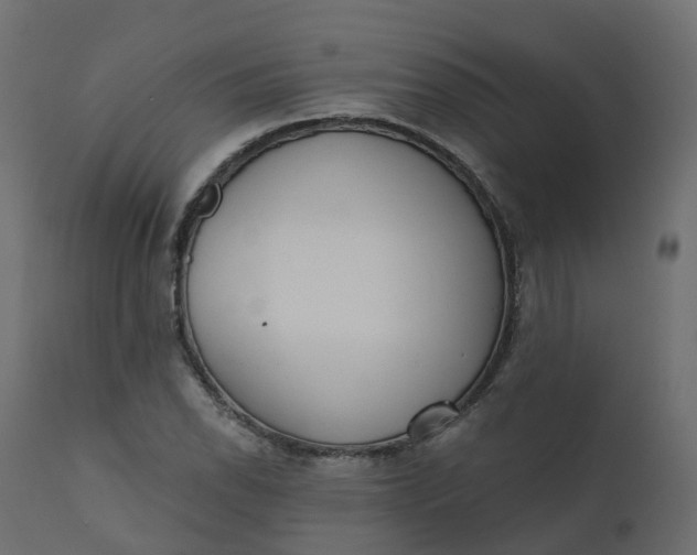 X0000110721118200906261449