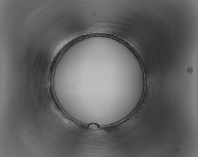 X0000110721119200906261449