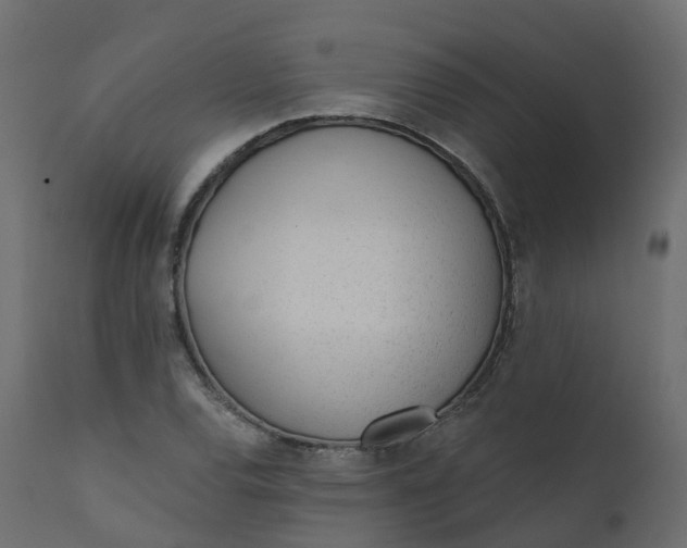 X0000110721120200906261449