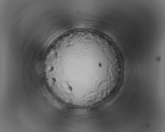 X0000110721121200906261449