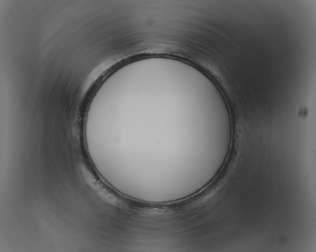 X0000110721122200906261449