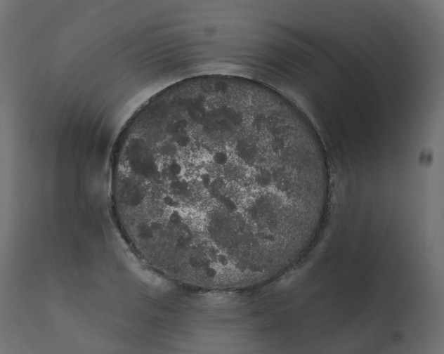 X0000110721125200906261449