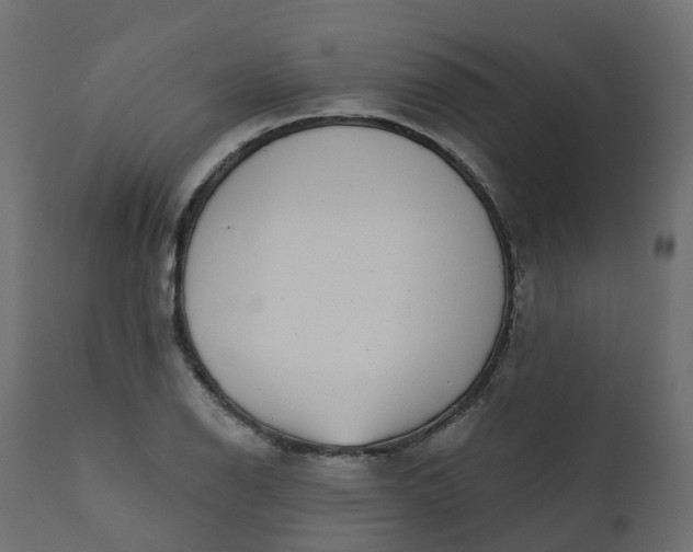 X0000110721126200906261449