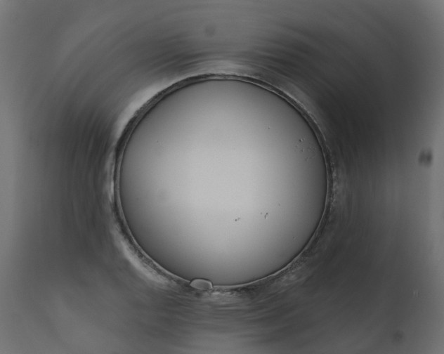 X0000110721128200906261449