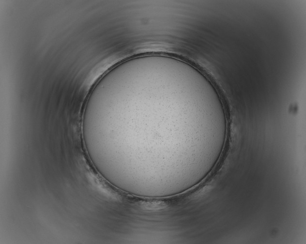 X0000110721129200906261449