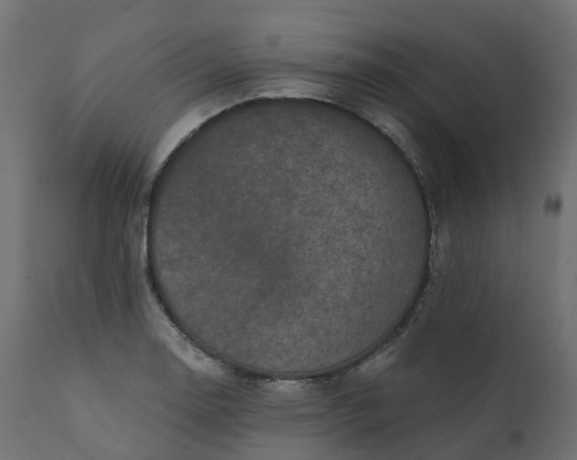 X0000110721130200906261449