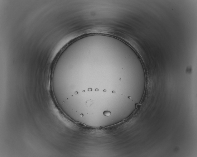 X0000110721131200906261449