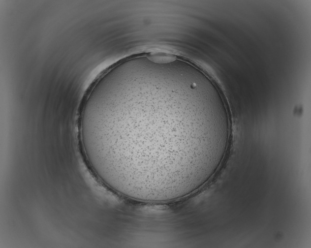 X0000110721133200906261449