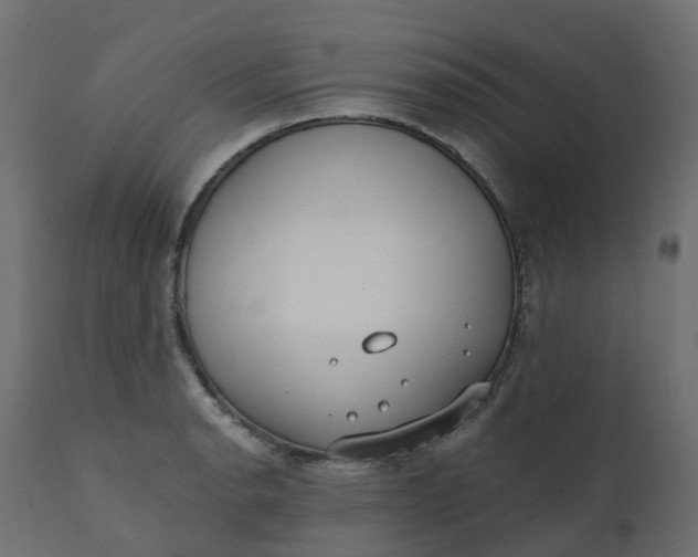 X0000110721134200906261449