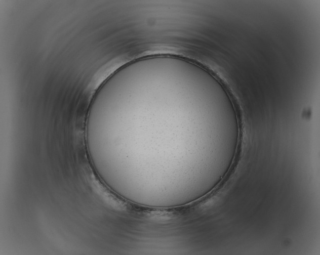 X0000110721137200906261449