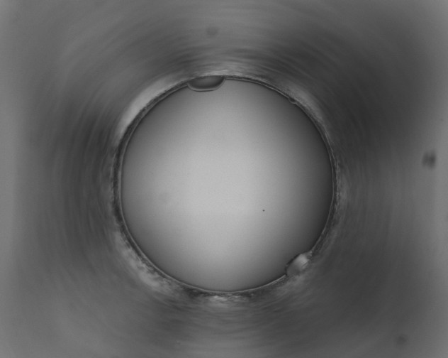 X0000110721138200906261449