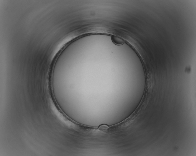 X0000110721139200906261449