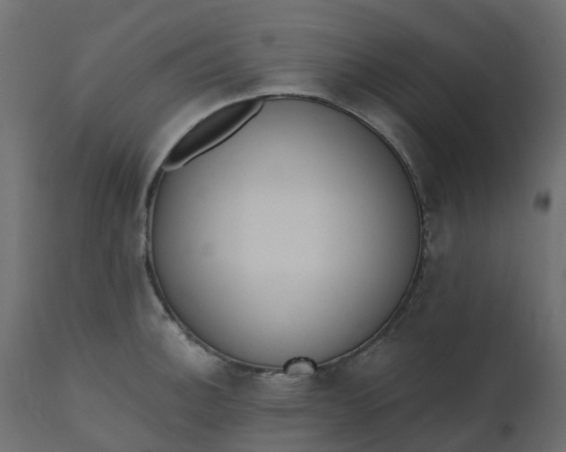 X0000110721140200906261449