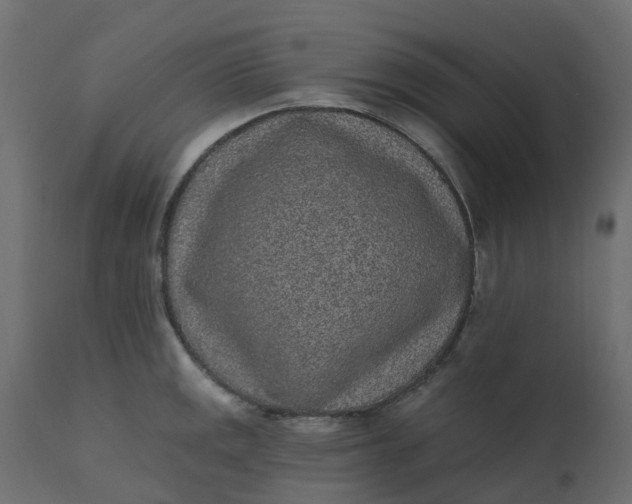 X0000110721141200906261449