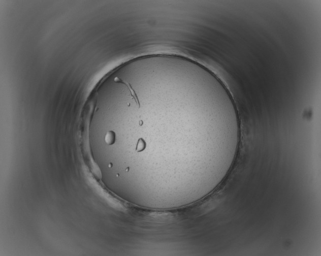 X0000110721142200906261449