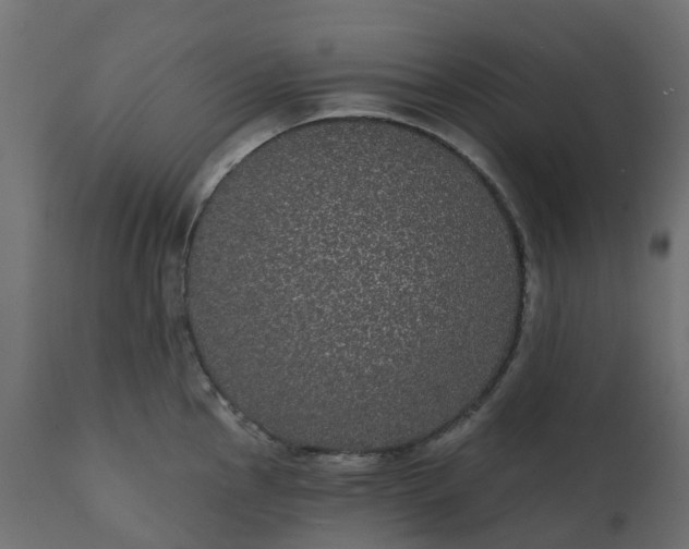 X0000110721145200906261449