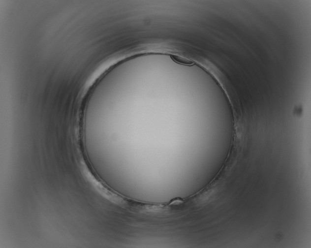 X0000110721147200906261450