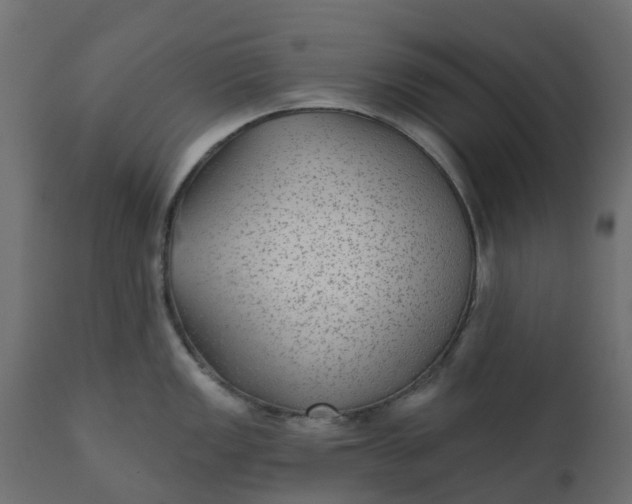 X0000110721149200906261450