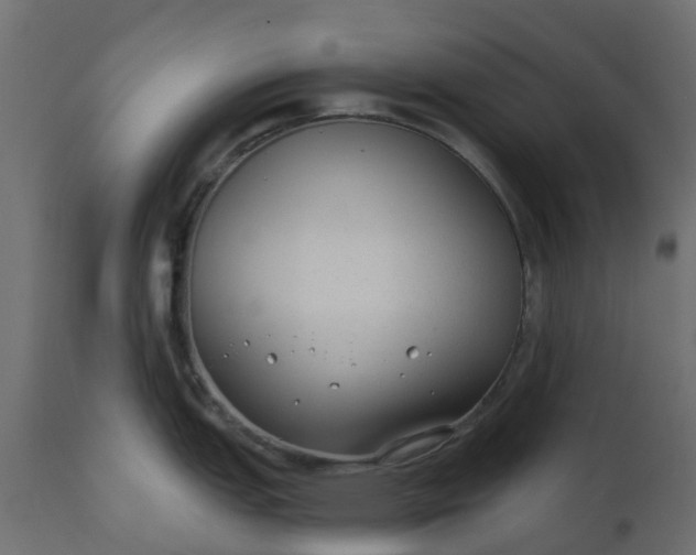 X0000110721151200906261450