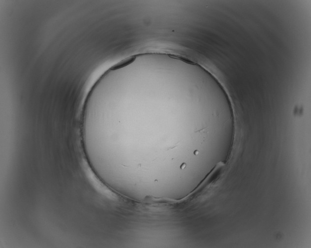 X0000110721152200906261450