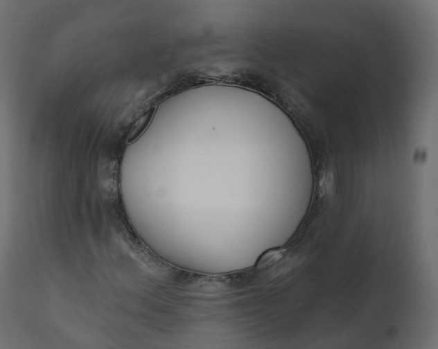 X0000110721156200906261449