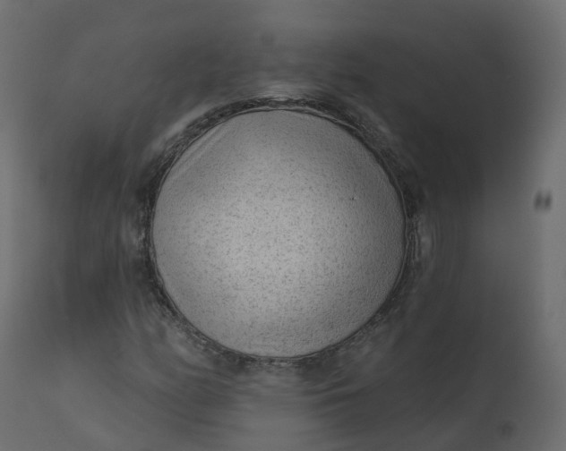 X0000110721158200906261449