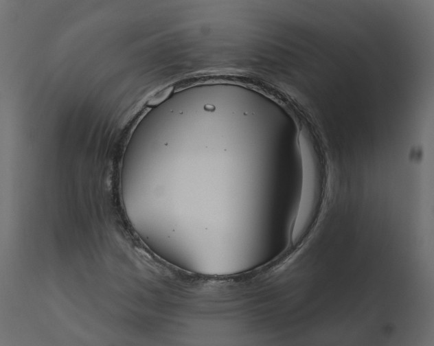 X0000110721161200906261449