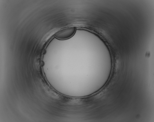 X0000110721162200906261449