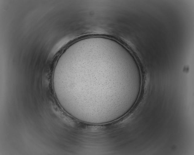 X0000110721163200906261449