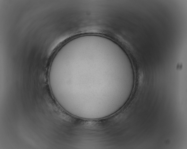 X0000110721166200906261449