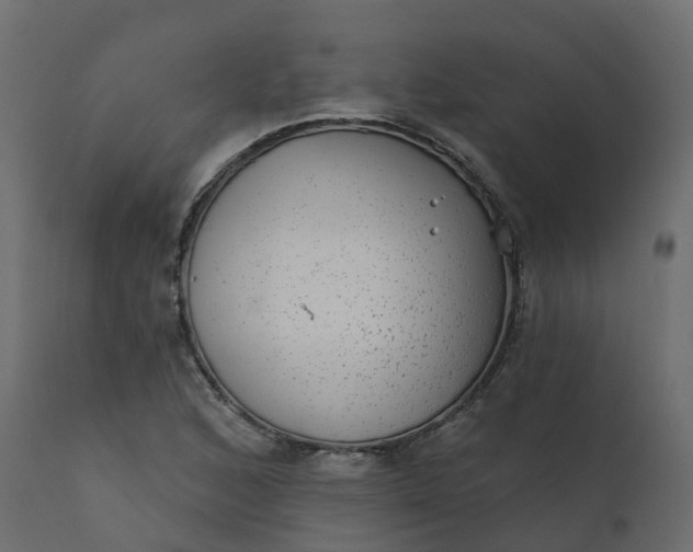 X0000110721168200906261449