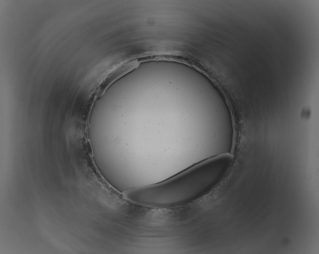 X0000110721169200906261449